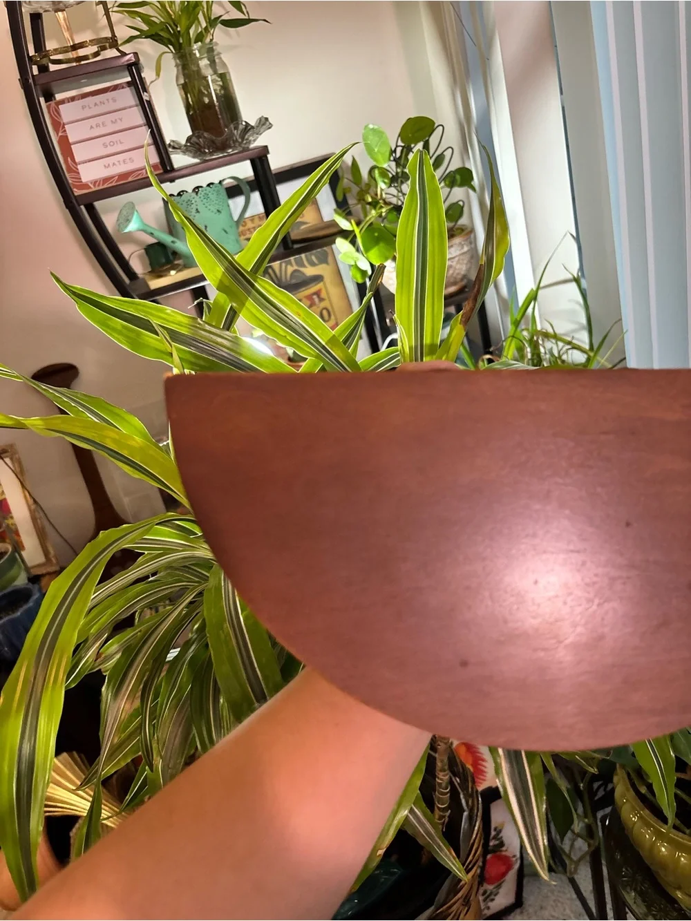 Classic Brown Wooden Wall Pedestal Shelf - Decorative Accent